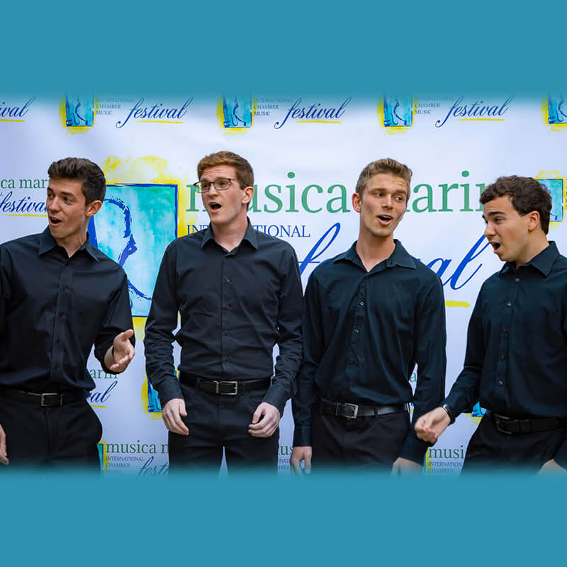 Simple Harmonic Motion